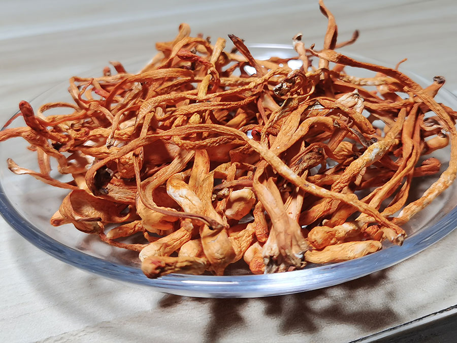 蛹虫草怎么烹饪更美味